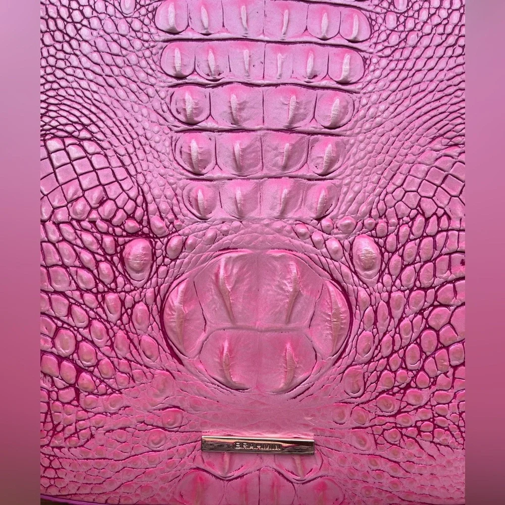 NWT Brahmin Katie CUPID Melbourne Crossbody - Picture 8 of 11